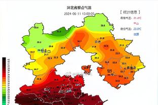 图片报：多特不排除泰尔齐奇留任，但前提是最终排名德甲前四