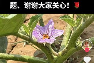 无力回天！卡梅隆-托马斯26中15空砍全场最高41分 末节19分